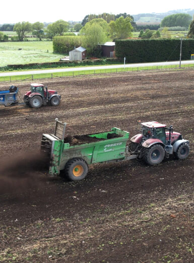 Robsons draft 2_Dry_Spread_Commercial_786